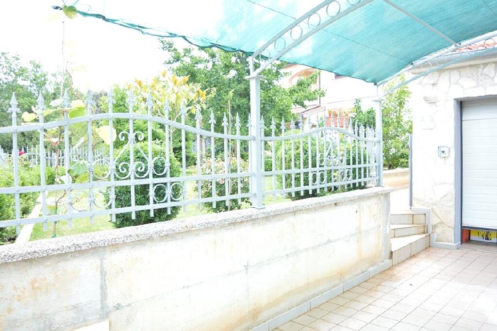 Image 6246214 - 8