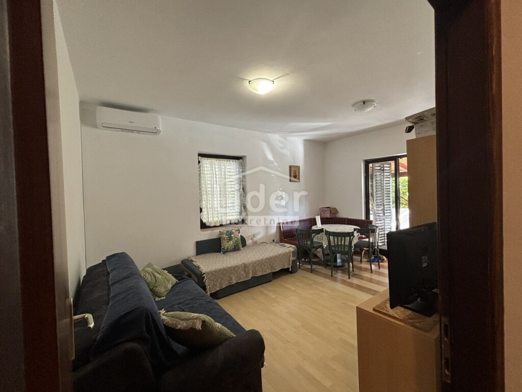 Image 6246389 - 2