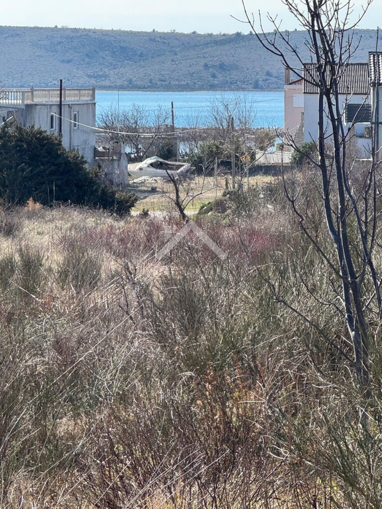 Image 6246400 - 2