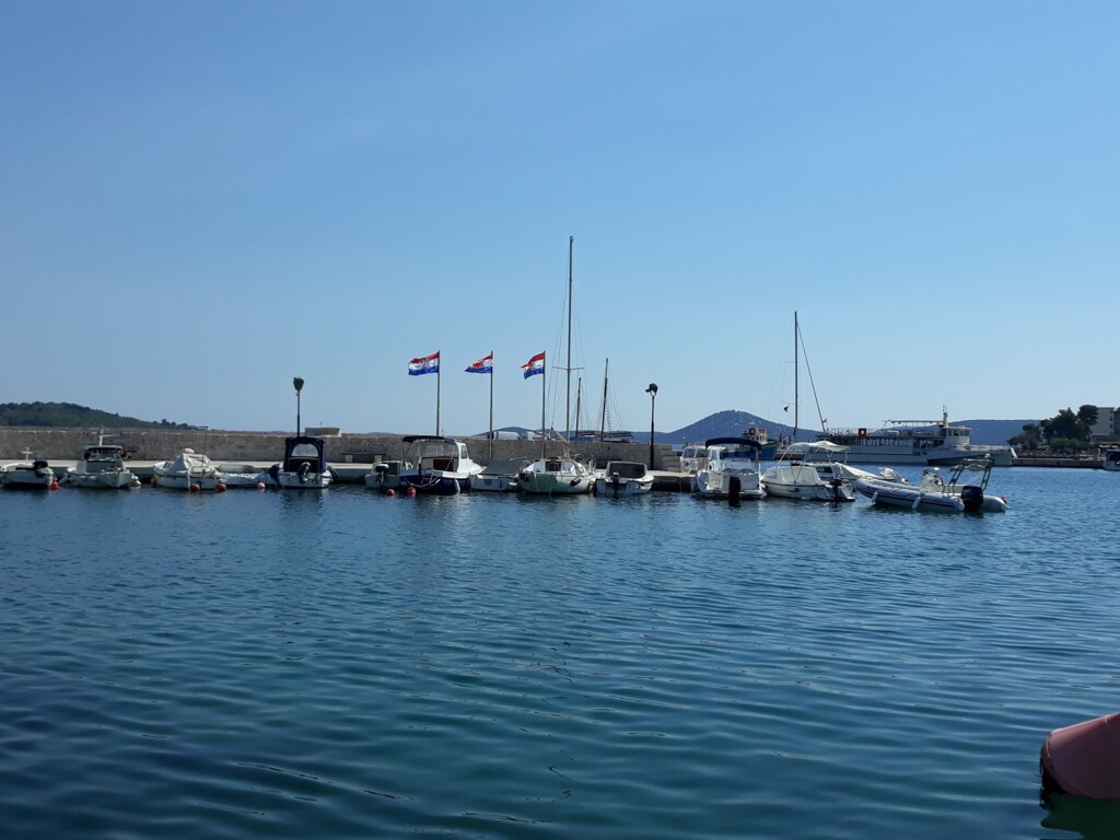 Image 6246427 - 4