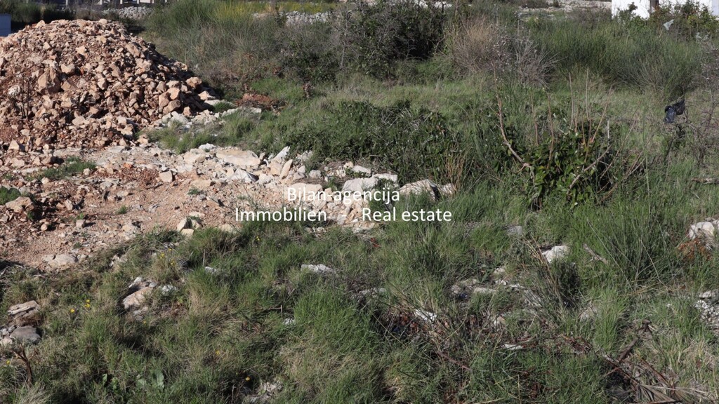 Image 6246427 - 3