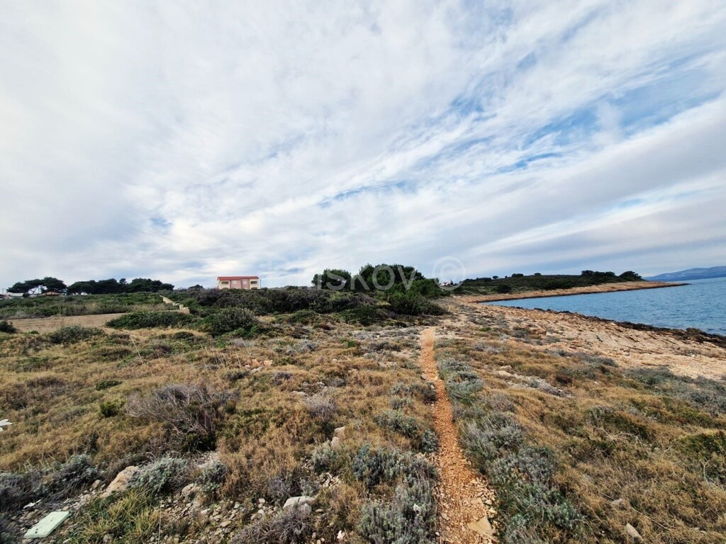 Image 6246487 - 1