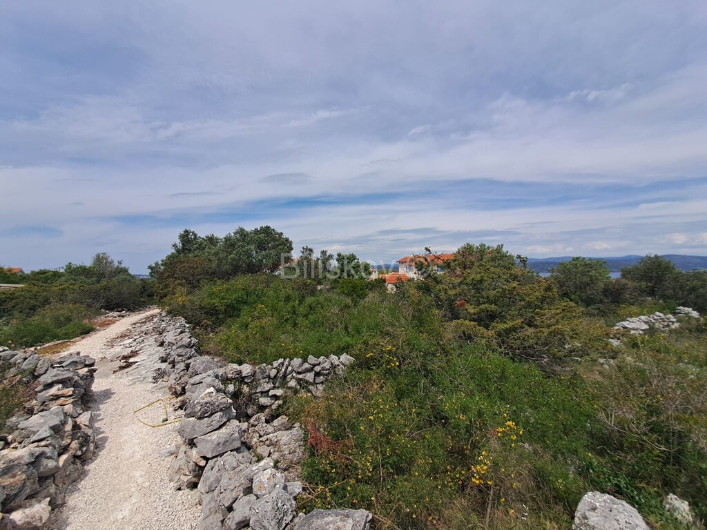 Image 6246488 - 1