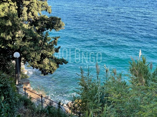 Thumbnail 6246531 - 13