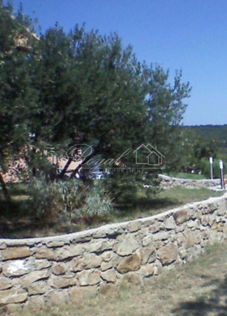 Image 6246566 - 1
