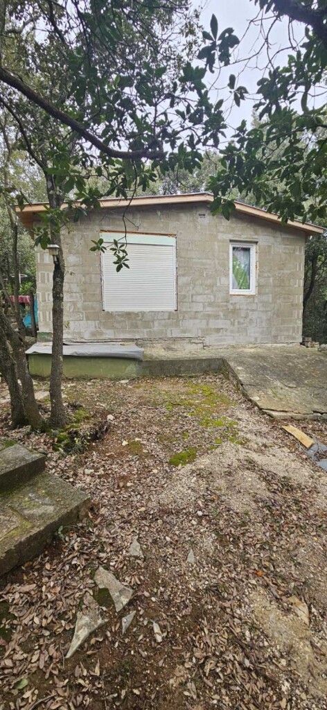 Image 6246625 - 3