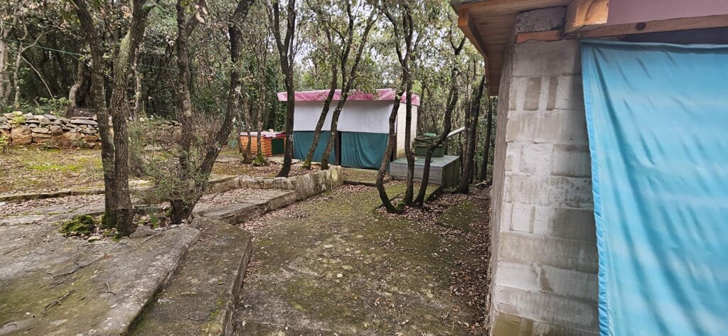 Image 6246625 - 13