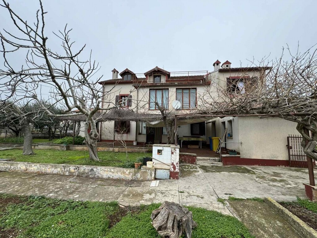 Image 6246632 - 3