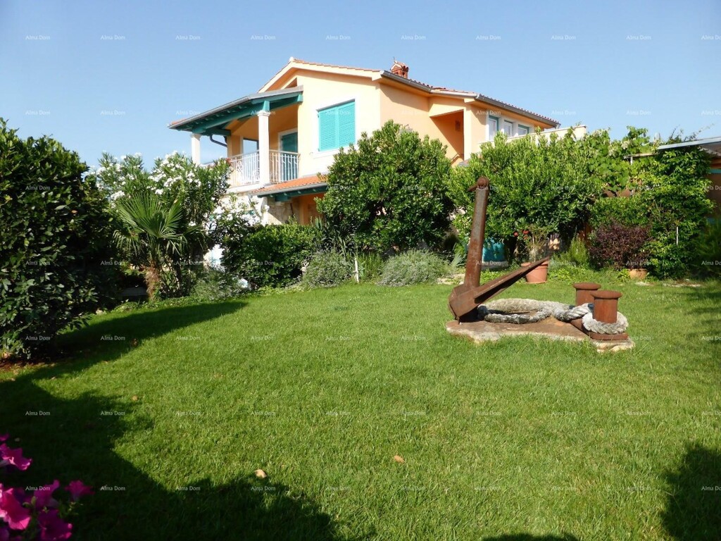 Image 6246889 - 1