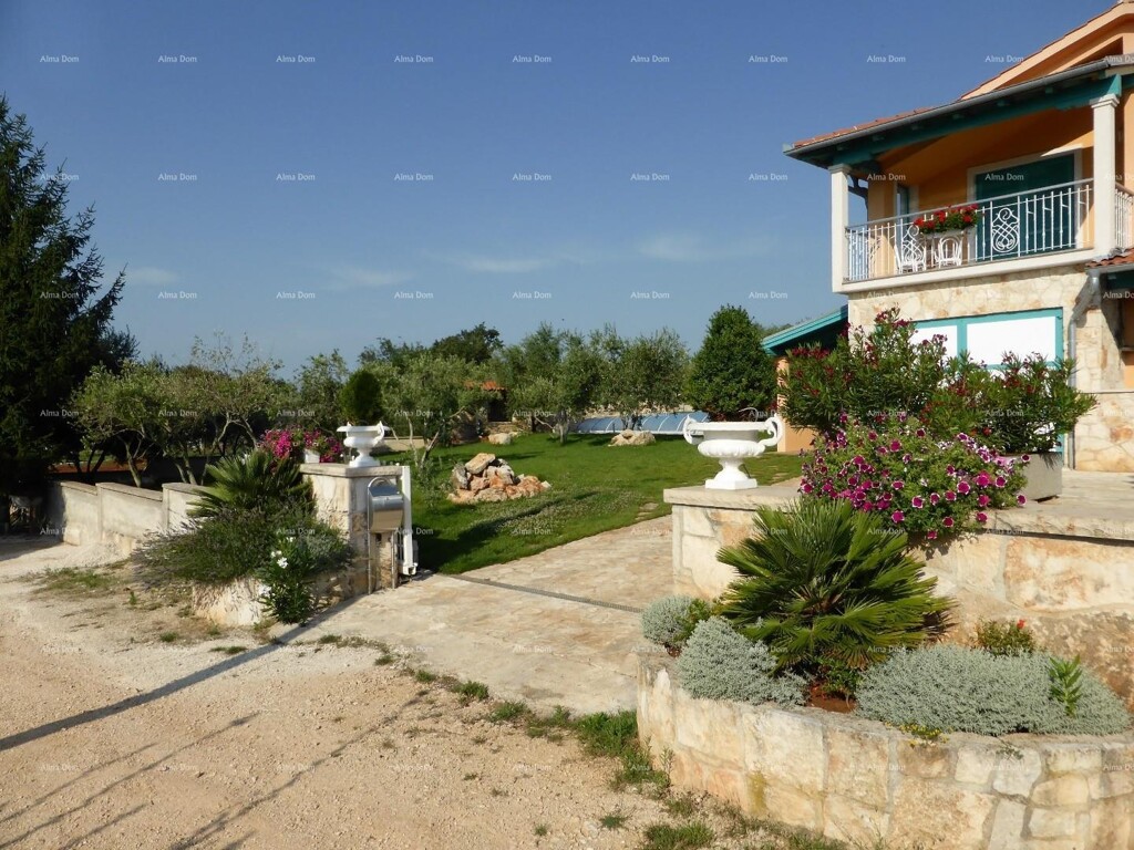 Image 6246889 - 2
