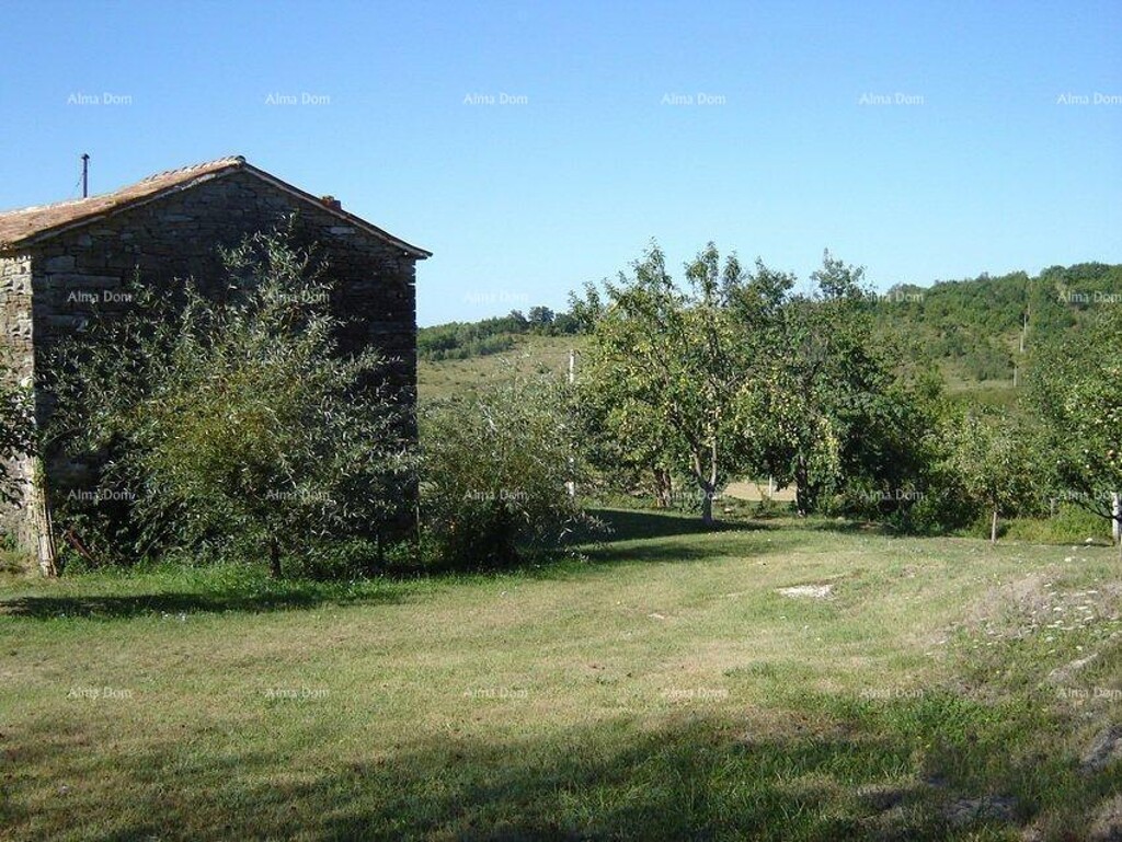 Image 6246890 - 5