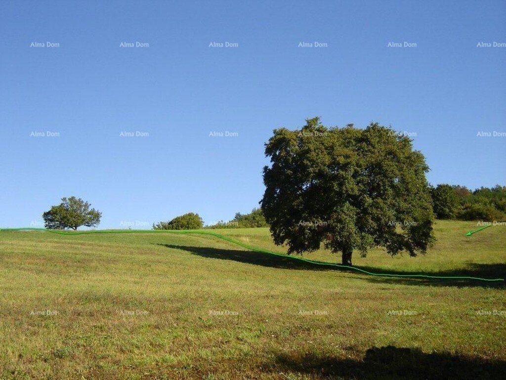 Image 6246890 - 2