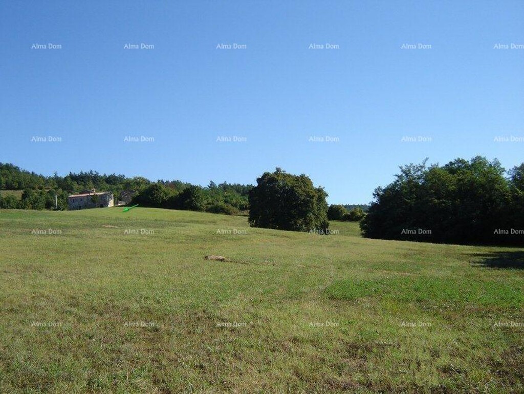 Image 6246890 - 3