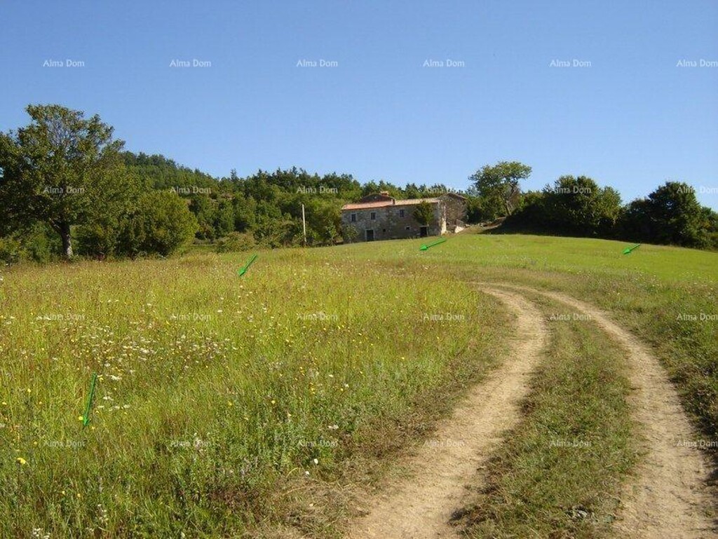 Image 6246890 - 4