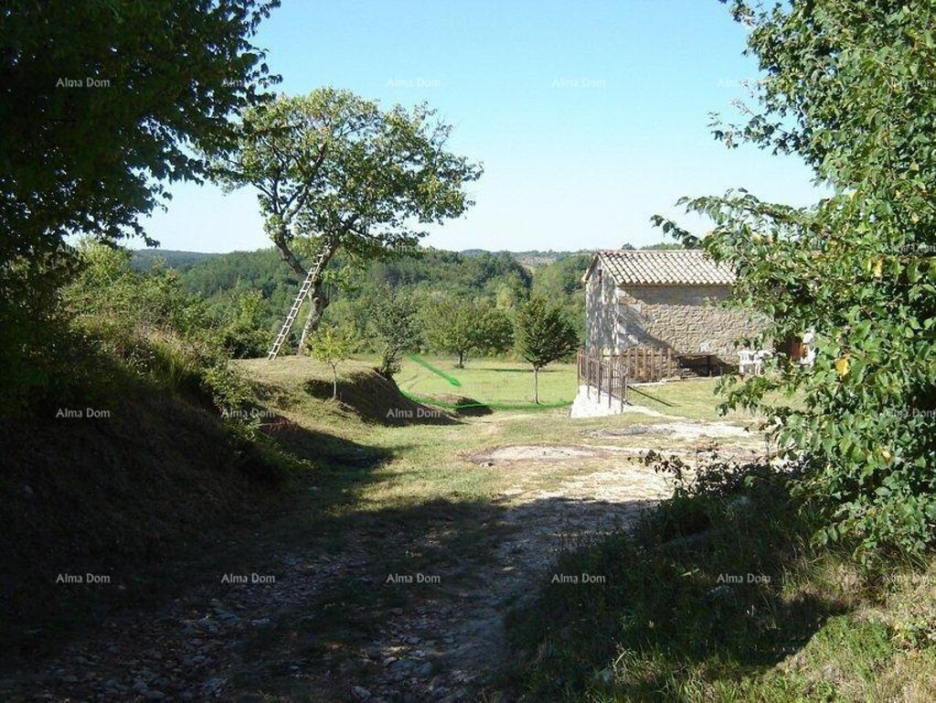 Image 6246890 - 1