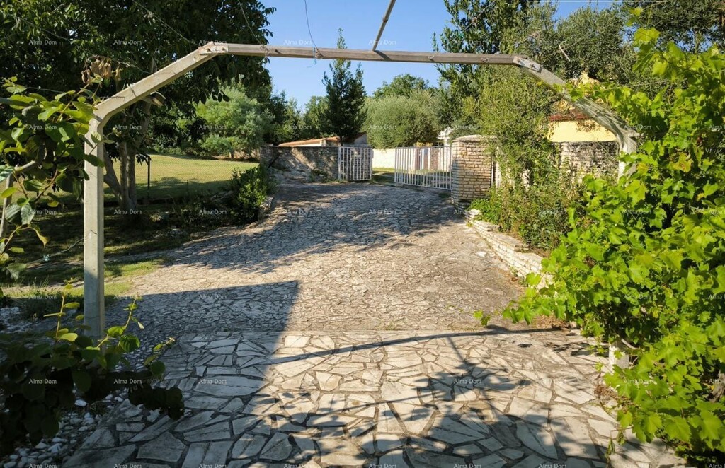 Image 6246891 - 4