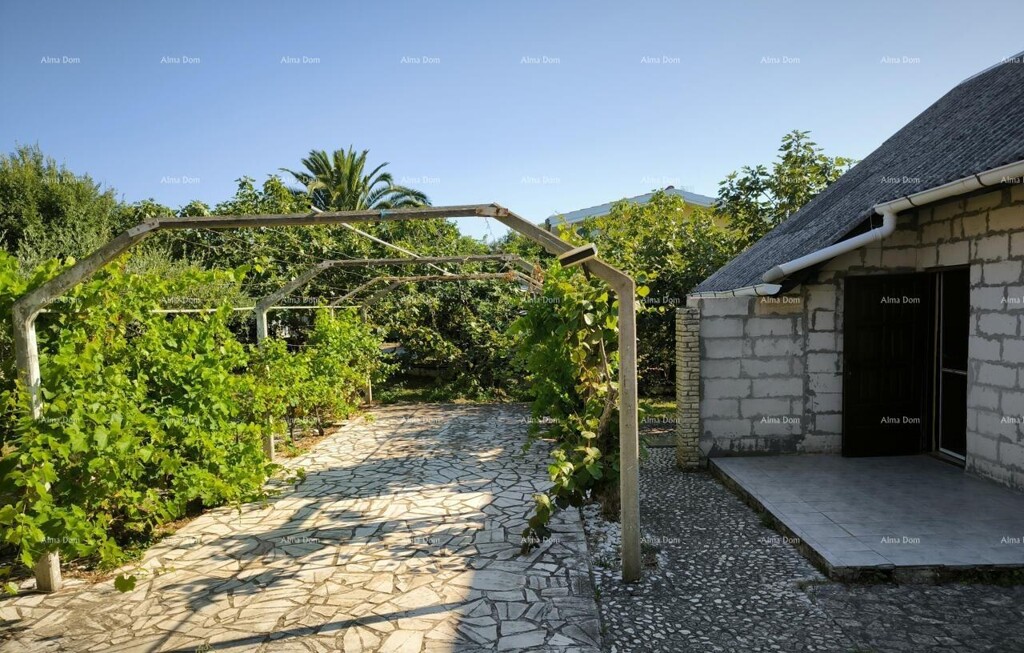 Image 6246891 - 3