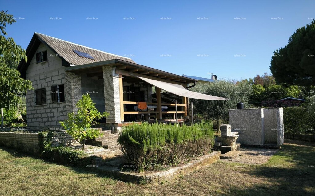 Image 6246891 - 2