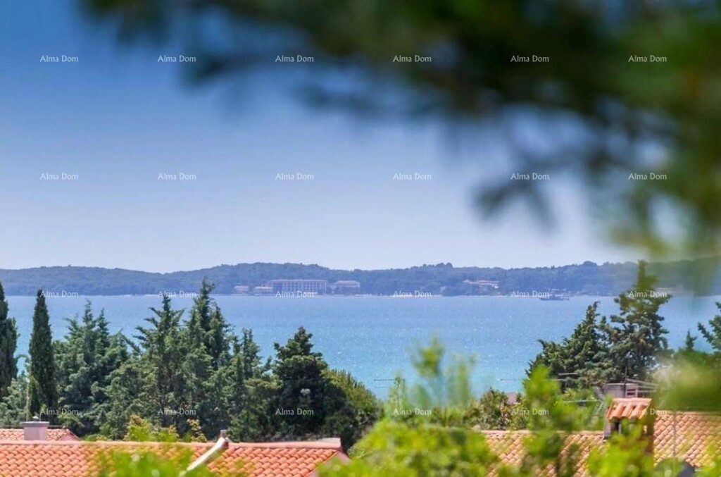 Image 6246894 - 8