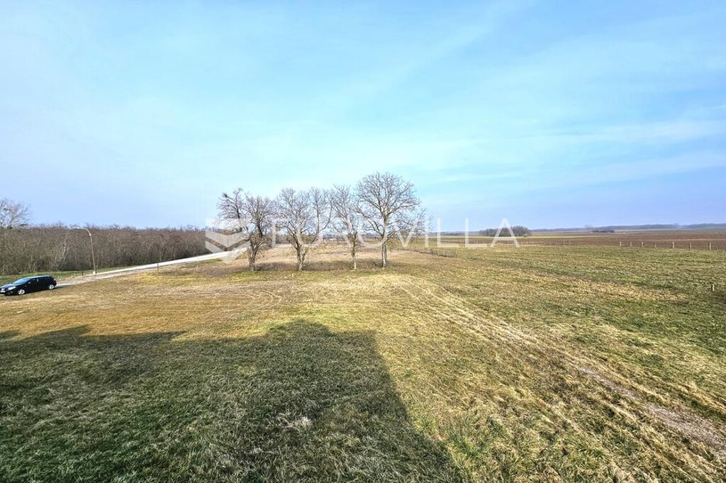 Image 6247138 - 8