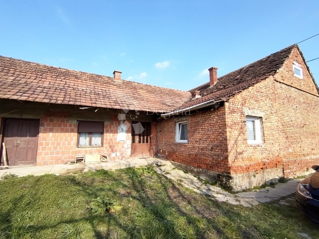 Image 6247164 - 4