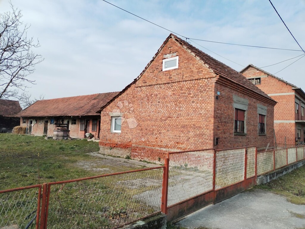 Image 6247164 - 12