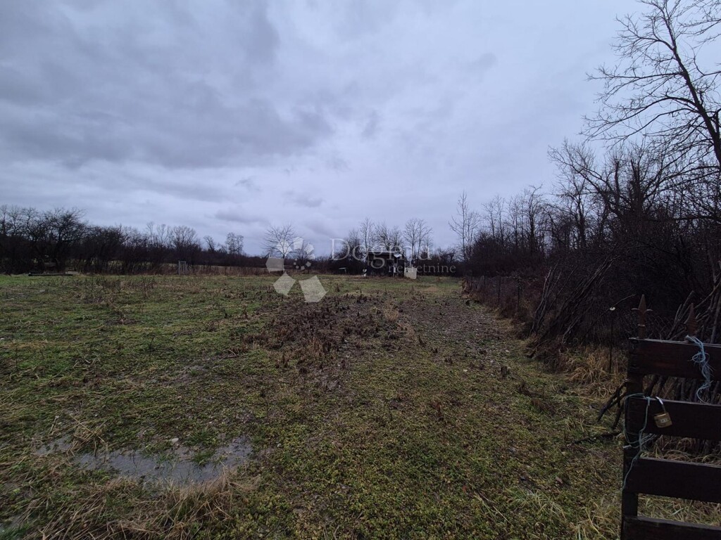 Image 6247171 - 1