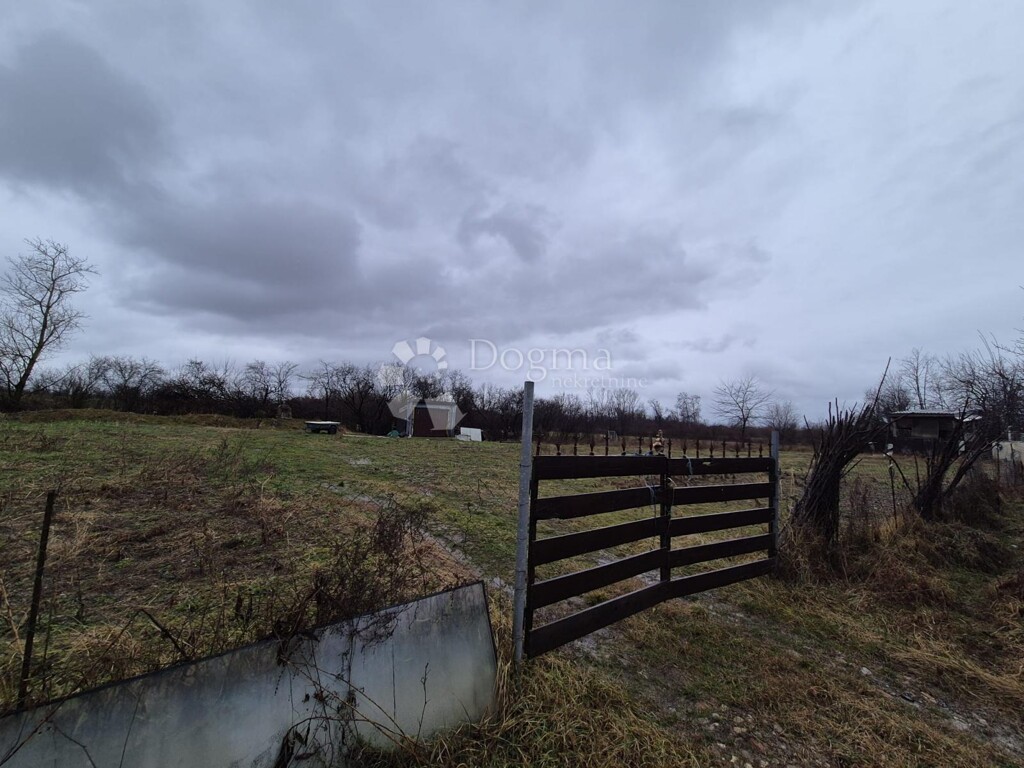 Image 6247171 - 2