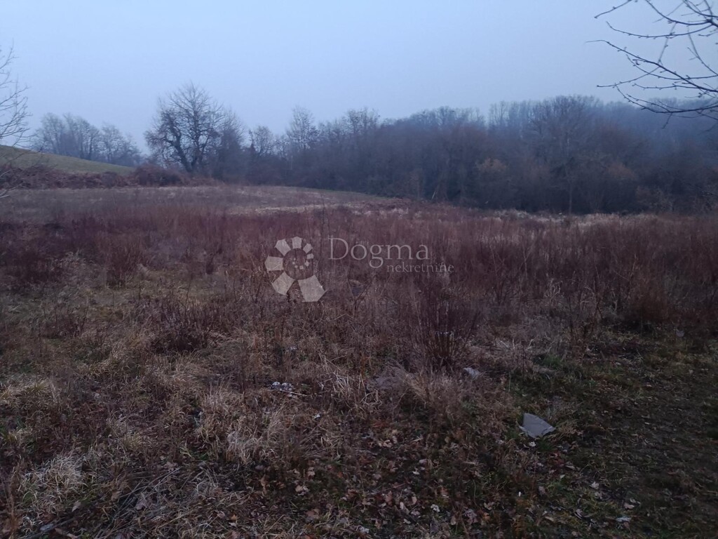 Image 6247176 - 2