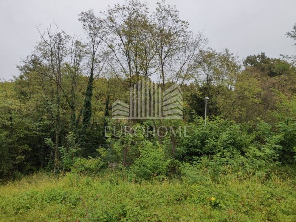 Image 6247228 - 2