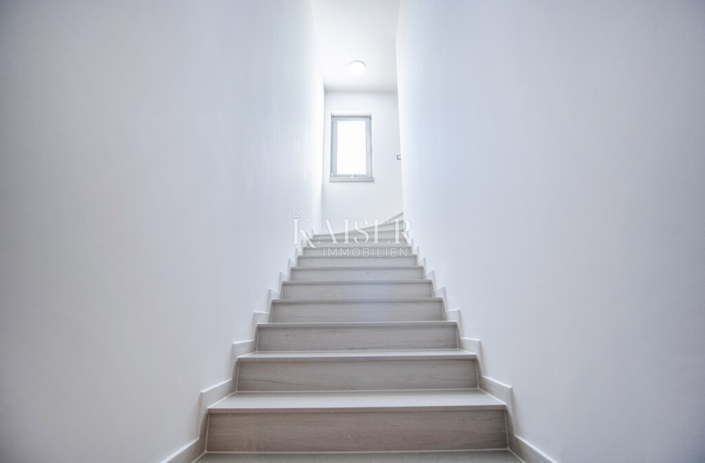 Image 6247296 - 16