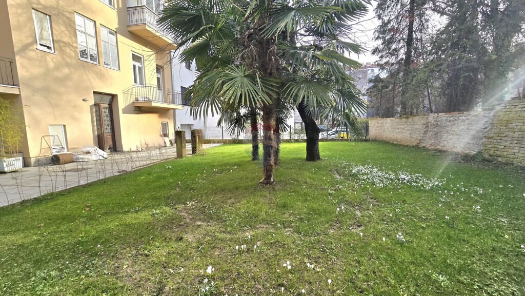 Image 6247322 - 1