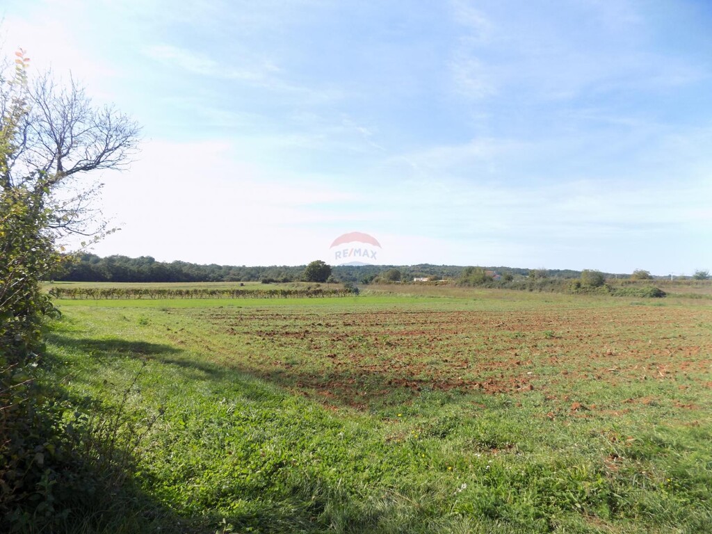 Image 6247326 - 1