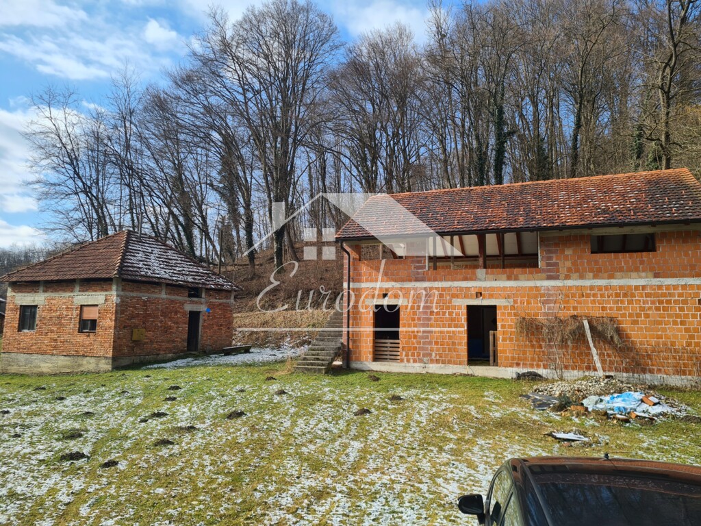 Image 6247376 - 2