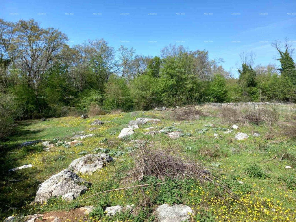 Image 6247498 - 2