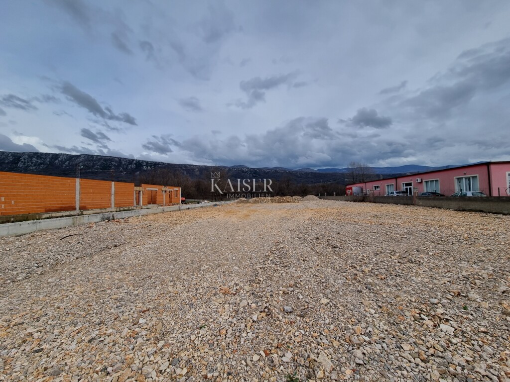 Image 6247558 - 2