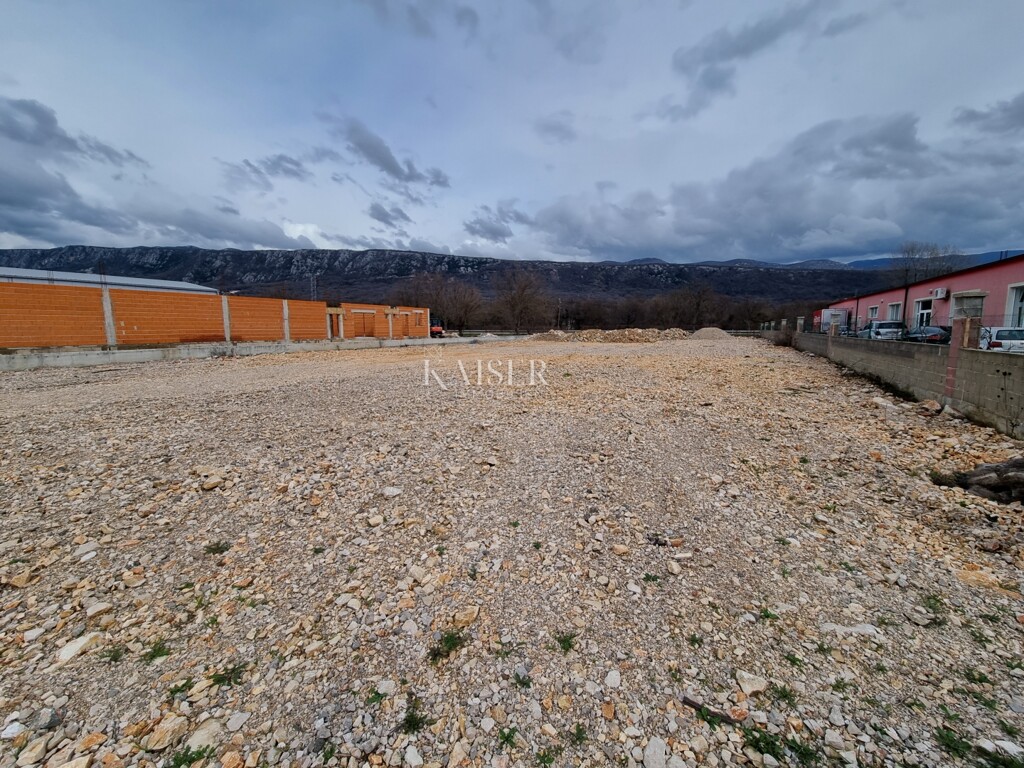 Image 6247558 - 1