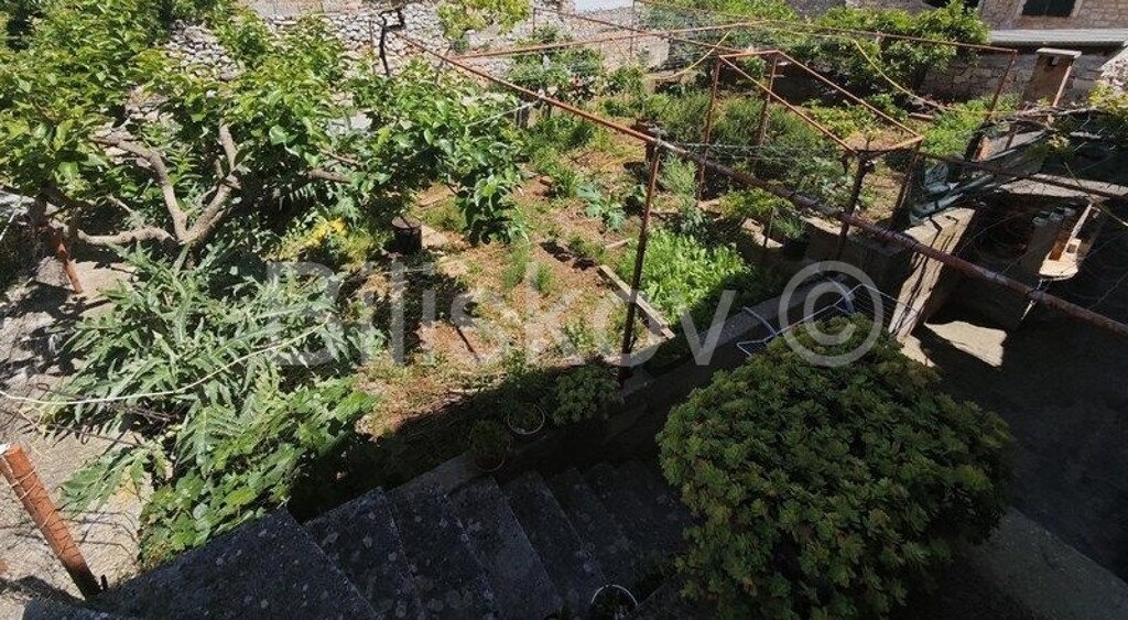 Image 6247576 - 2