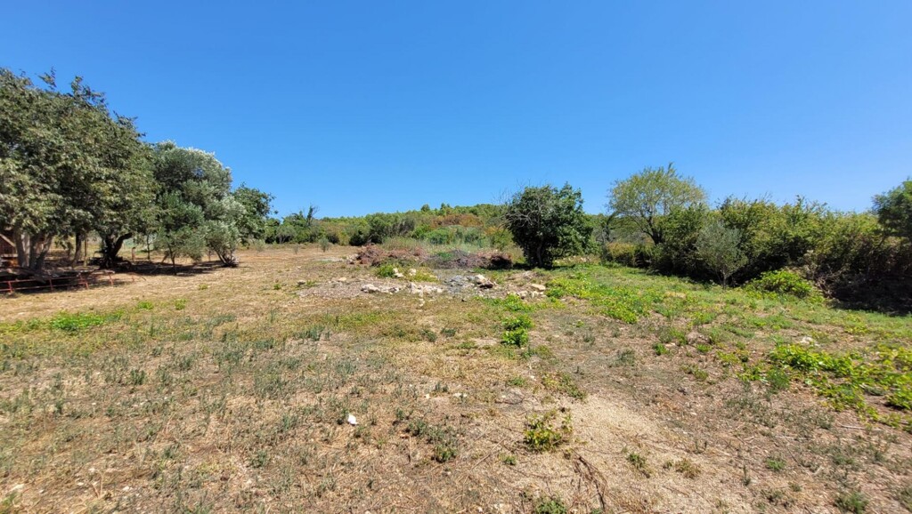 Image 6247579 - 4