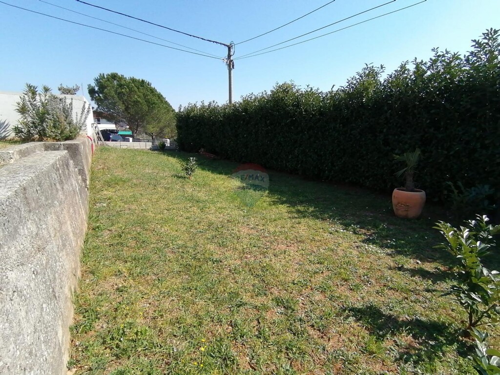 Image 6247586 - 3