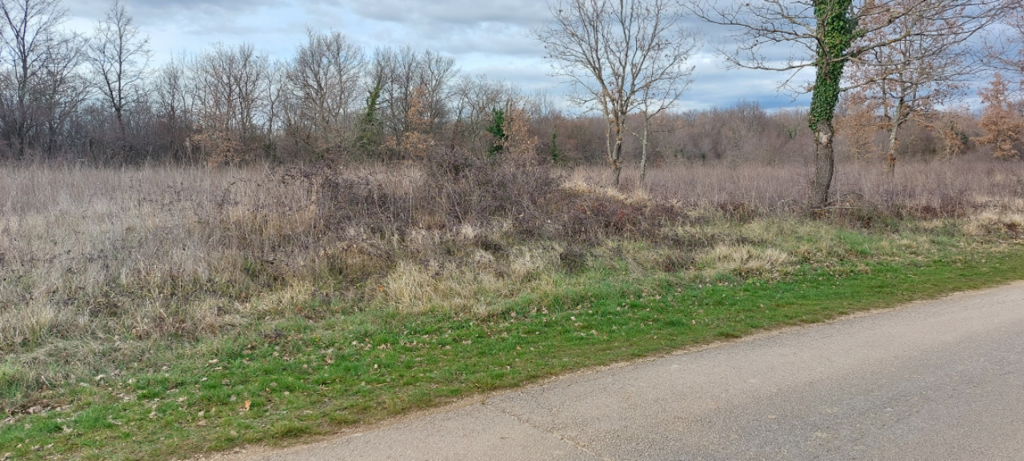Image 6247590 - 3