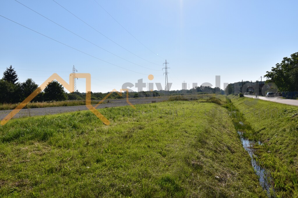 Image 6247613 - 1