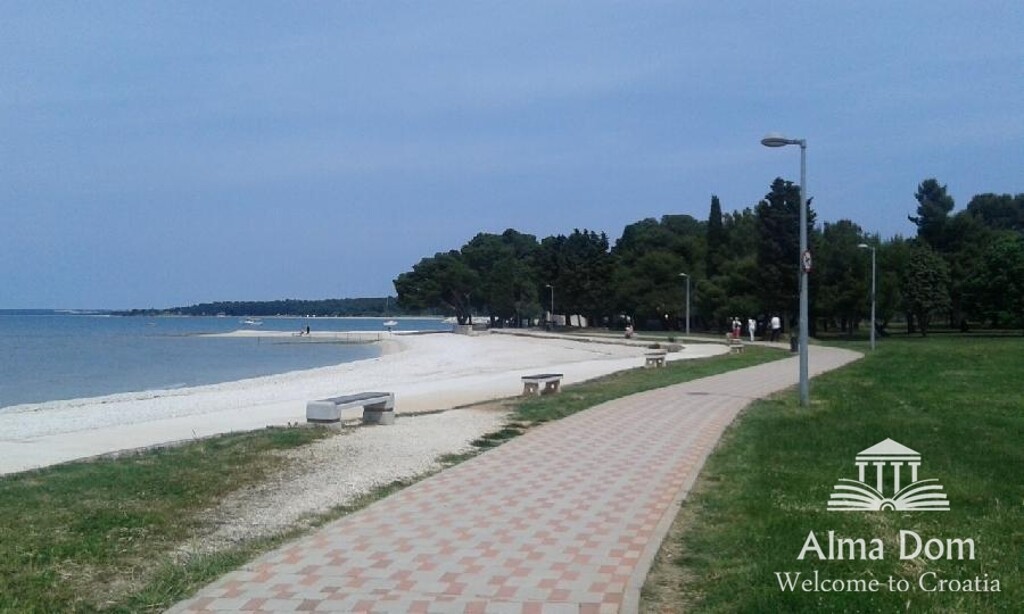 Image 6247766 - 21