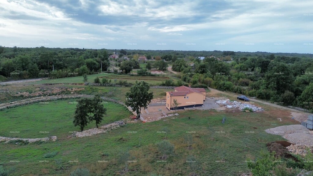 Image 6247767 - 4