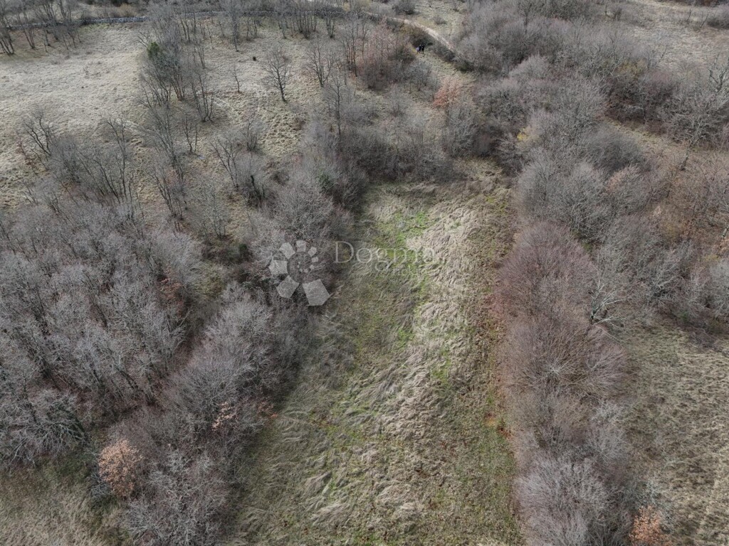 Image 6247967 - 2