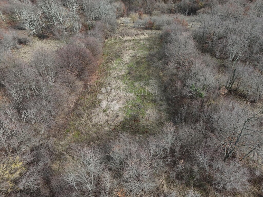 Image 6247967 - 3
