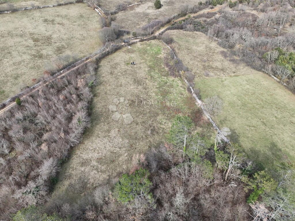 Image 6247968 - 2