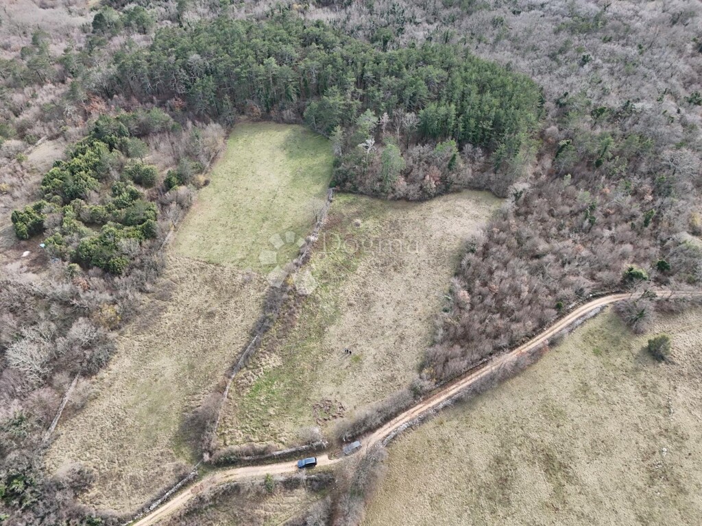 Image 6247968 - 3