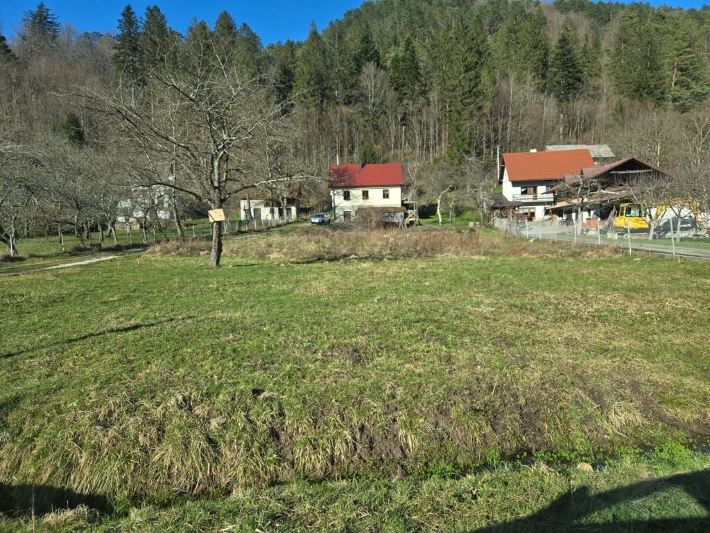 Image 6247995 - 1
