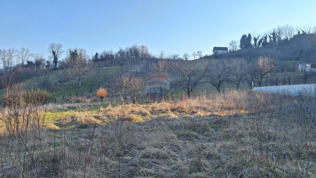 Image 6248013 - 5